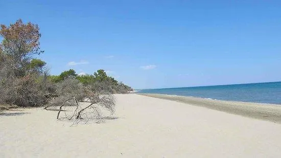 Casa vacanze Casa Piazza Gramsci 1 *