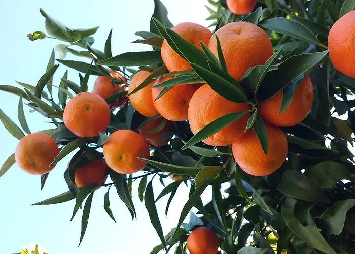 Casa Piazza Gramsci 1